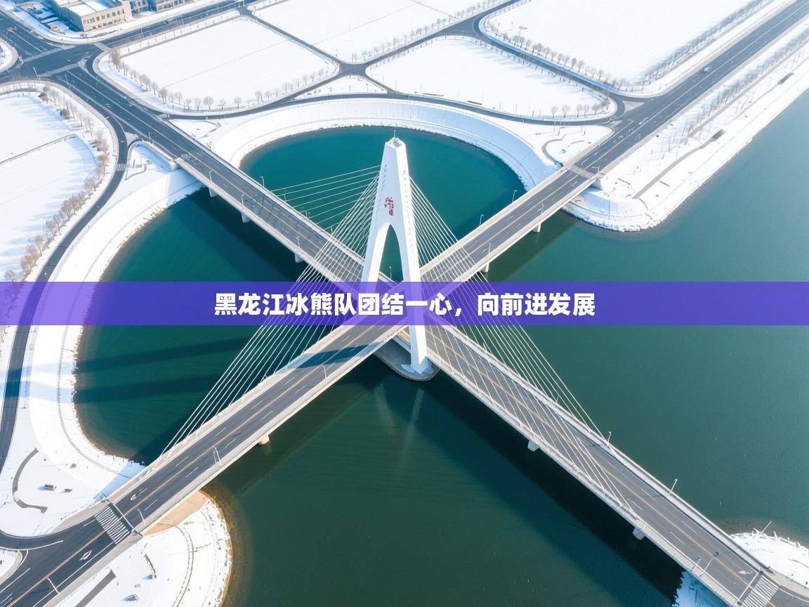 黑龙江冰熊队团结一心，向前进发展  第2张