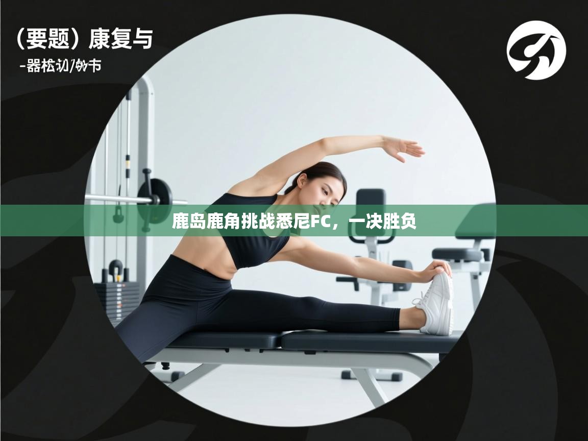 鹿岛鹿角挑战悉尼FC，一决胜负  第1张